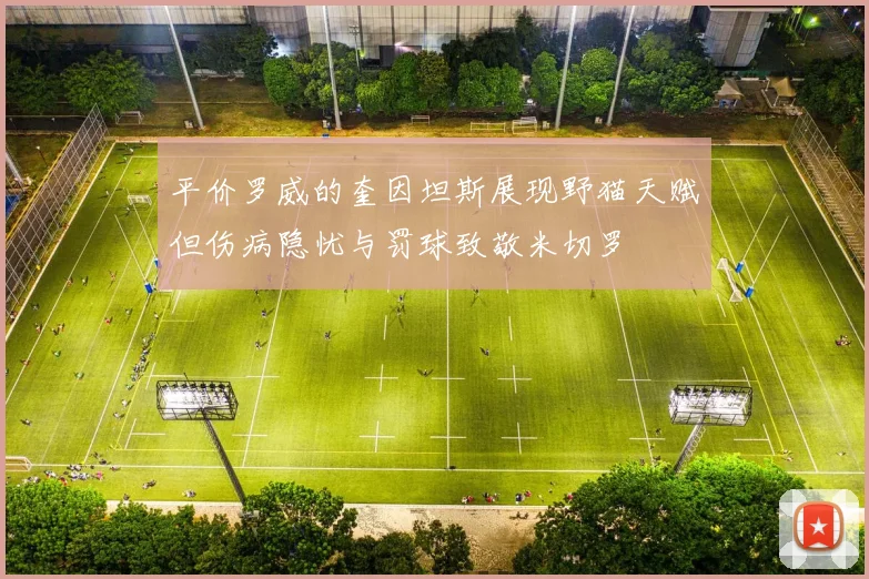 平价罗威的奎因坦斯展现野猫天赋但伤病隐忧与罚球致敬米切罗